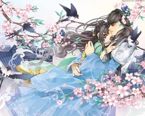 芒果回家导航最新网址